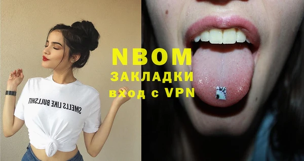 шишки Лабытнанги