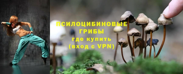 гидропоника Балабаново