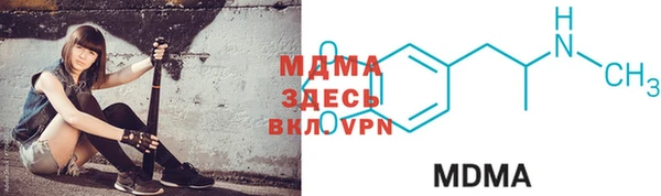 шишки Лабытнанги