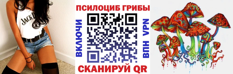 Купить  Бакал  Псилоцибиновые грибы Psilocybine cubensis 
